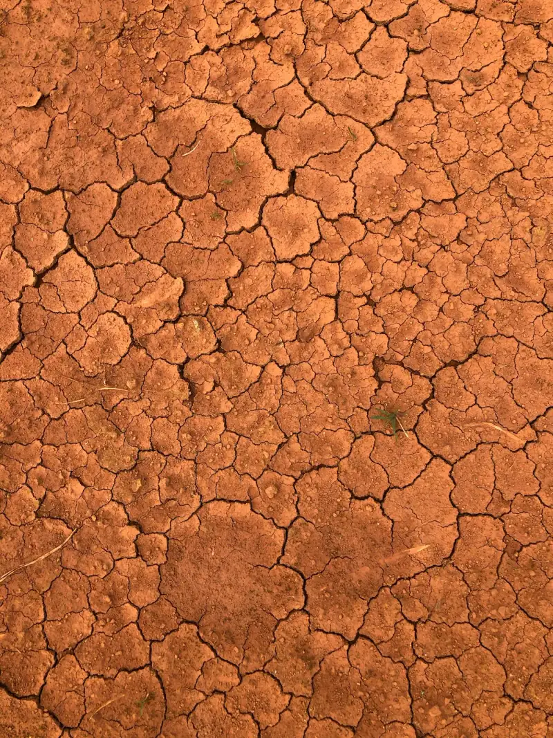 Warm cracked earth showing the colour of raw laterite